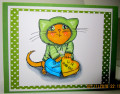 green_cat_