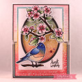 2018/03/14/Birds_Blooms_2_by_cathymac.jpg