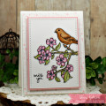 2018/03/26/Sheri_Gilson_SNSS_Birds_and_Blooms_Card_2_by_PaperCrafty.jpg