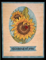 sunflowerl