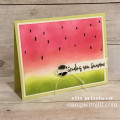 2018/09/08/watermelon-card-fun-stampers-journey-ink-blend_by_jill031070.JPG