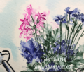 2019/02/18/Watercolor-vintage-watering-can-flowers-spring-art-impressions-deb-valder-2_by_djlab.PNG
