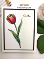 2020/04/05/Tulip-Flower-Florals-Hero-Arts-hello-cardmaking-watercolor-combo-deb-valder-stampladee-teaspoon-of-fun-1_by_djlab.PNG