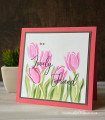 2020/05/13/Lovely-Friend-Tulips_by_Rambling_Boots.jpg
