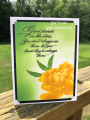 2020/07/08/Grand-Peony-multi-level-stamping-layered-Kitchen-Sink-Matinee-Rectangle-Die-Distress-Oxide-Ink-Treasured-Sentiments-deb-valder-stampladee-Teaspoon_of_Fun-2_by_djlab.PNG