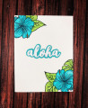 Aloha_flow
