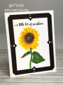 2020/07/23/Kitchen_Sink-Giant-sunflower-flowers-flowers-gardening-multi-step-stamping-birthday-get-well-sunny-smile-friend-stampladee-deb-valder-teaspoon_of_fun_by_djlab.PNG