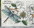 2021/04/20/slimline-spring-magnolia-card-kit-trellis-cover-plate-color-layering-dragonfly-combo-flowers-welcome-Teaspoon-of-Fun-Deb-Valder-IO-Stamps-LDRS-Tutti-Hero-Arts-2_by_djlab.PNG