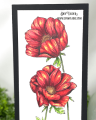 2021/05/11/Slimline-Anemone-Stacked-you-are-so-special-flower-copic-coloring-Teaspoon-of-Fun-Deb-Valder-IO-stamps-creative-expressions-3_by_djlab.PNG