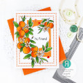 2021/06/09/Orange_Blossom_Friend-Reverse_Confetti-Jeanne_Jachna_by_akeptlife.jpg