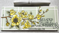 2021/07/27/spring-magnolia-kit-belated-birthday_wishes-happy-slimline-connected-rectangles-die-wink-stella-Teaspoon-of-Fun-Deb-Valder-Whimsy-Stamps-IO-Creative-Expressions-1_by_djlab.PNG