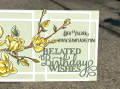 2021/07/27/spring-magnolia-kit-belated-birthday_wishes-happy-slimline-connected-rectangles-die-wink-stella-Teaspoon-of-Fun-Deb-Valder-Whimsy-Stamps-IO-Creative-Expressions-4_by_djlab.PNG