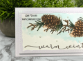 2021/11/08/slimline-pines-pinecone-garland-winter-geetings-stitched-wobbly-frame-watercolor-winter-Teaspoon-of-Fun-Deb-Valder-Whimsy-Tutti-Impression-Obsession--2_by_djlab.PNG