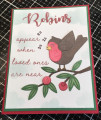 Robins_App