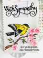 2022/07/15/Finch-Greetings-Bundle-birds-sympathy-slimline-zig-zag-build-a-basket-thoughts-prayers-Teaspoon-of-Fun-Deb-Valder-Penny-Black-Memory-Box-Whimsy-stamps-Creative-Expressions-3_by_djlab.PNG