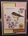 2022/11/19/11_19_22_Birthday_Bird2_by_Shoe_Girl.JPG