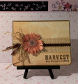 Harvest_Th