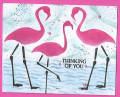 flamingos_