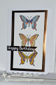 2023/02/12/FS836_ButterflyTrio_2_by_Jay_Bee.jpg