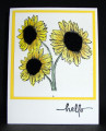 2023/03/02/Sunflowers_by_casep.JPG