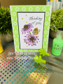 2023/03/14/butterflies-butterfly-card-kit-flower-monarch-flight-of-the-Teaspoon-of-Fun-Deb-Valder-IO-stamps-Tutti-Designs-PinkFresh-Memory-Box-6_by_djlab.PNG