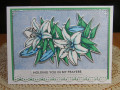 2023/03/27/Lily_card_Blue_by_JD_from_PAUSA.jpg