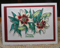 2023/03/27/Lily_card_Christmas_by_JD_from_PAUSA.jpg