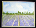 2023/04/19/provence_by_casep.JPG