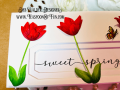 2023/04/22/layered-tulips-slimline-cornered-die-spring-sentiment-butterfly-Teaspoon-of-fun-Deb-Valder-Poppy-Memory-Box-stamps-Whimsy-Impressionsion-copic-3_by_djlab.PNG
