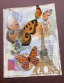 2023/09/10/butterflies_in_paris_by_Stamples.jpg