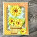 Sunflower_