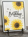 2023/12/03/Sunflower_Birthday_Wishes_Front_by_die_cut_diva.jpg
