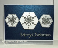 2023/12/11/CAS772_Silver_Snowflakes_by_Jay_Bee.jpg
