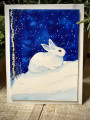 2024/02/02/bunny_by_nwilliams6.jpg