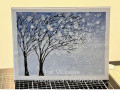 2024/02/09/Windblown_Trees_by_pvilbaum.jpg