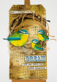 bird-nest-