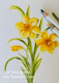 2024/03/03/Teaspoon-of-Fun-Deb-Valder-dazzling-daffodils-sprinkles-scallops-rectangle-comfored-sentiments-altenew-pans-watercolor-pencil-4_by_djlab.PNG