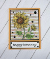 2024/03/15/Sunflower_Birthday_IC954_IMG_8326_by_Kalla_Walla.jpg