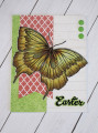 2024/03/29/Big_Butterfly_Easter_IC956_IMG_8344_by_Kalla_Walla.jpg