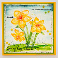 2024/04/03/watercolor-daffodills-tutorial-layers-of-ink1_by_Layersofink.jpg