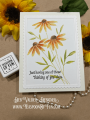 2024/04/11/Teaspoon-of-Fun-Deb-Valder-sweetly_scented-Penny-Black-It_s-About-The-Day-watercolor-cone-flower-black-eyed-susan-double-scalloped-stitched-frames-poppy-1_by_djlab.PNG
