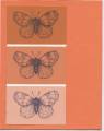 2005/09/23/SS_Butterfly_Paint_Chip_by_Boulderstamper.jpg