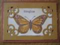 2012/09/12/Hexapodal_ATC_Butterfly_by_MamaAce.jpg