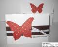 2010/01/17/stampin_up_congrats_butterfly_card_by_akemi76.jpg