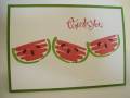 2013/01/29/stamping_chick_watermelon_thank_you_by_stamping_chick.JPG