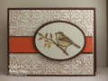 2010/10/04/Touch_of_Nature_Sparrow_by_bon2stamp.gif