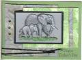 2009/05/04/Serengeti_Elephant_Hide_by_Kathy_LeDonne.jpg