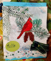 2018/01/29/TRY_Red_Cardinal_by_Crafty_Julia.JPG