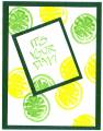 2005/03/03/33772FF_Citrus_Its_Your_Day.jpg