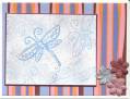 2006/10/09/striped_dragonfly_card_by_sunnywl.jpg